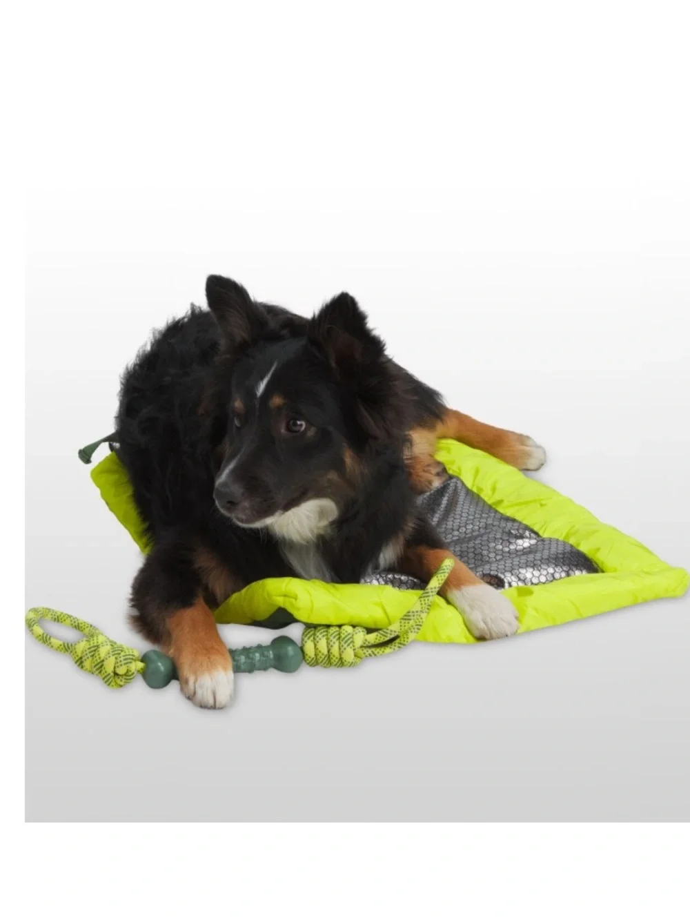 Green & Neon Yellow Roll-Top insulated pet bed for dogs